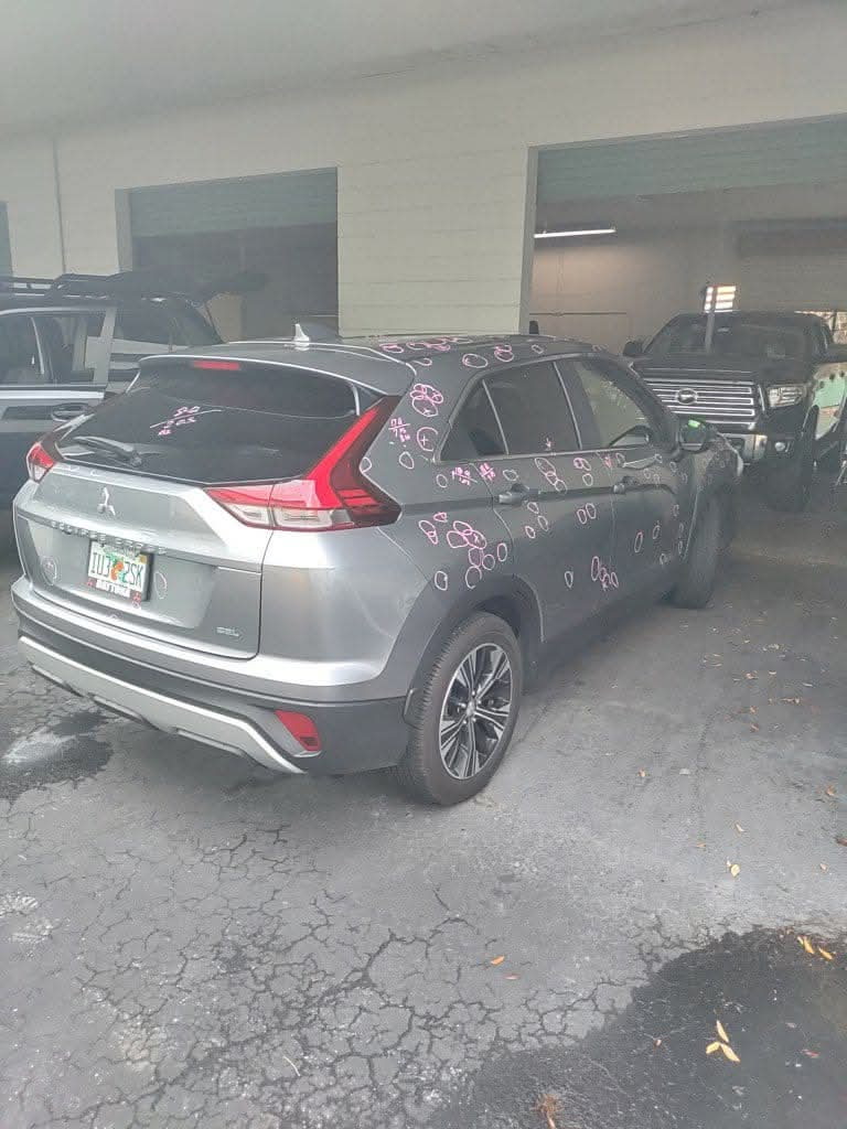 Large hail damage example for New Smyrna Beach-area repair customers